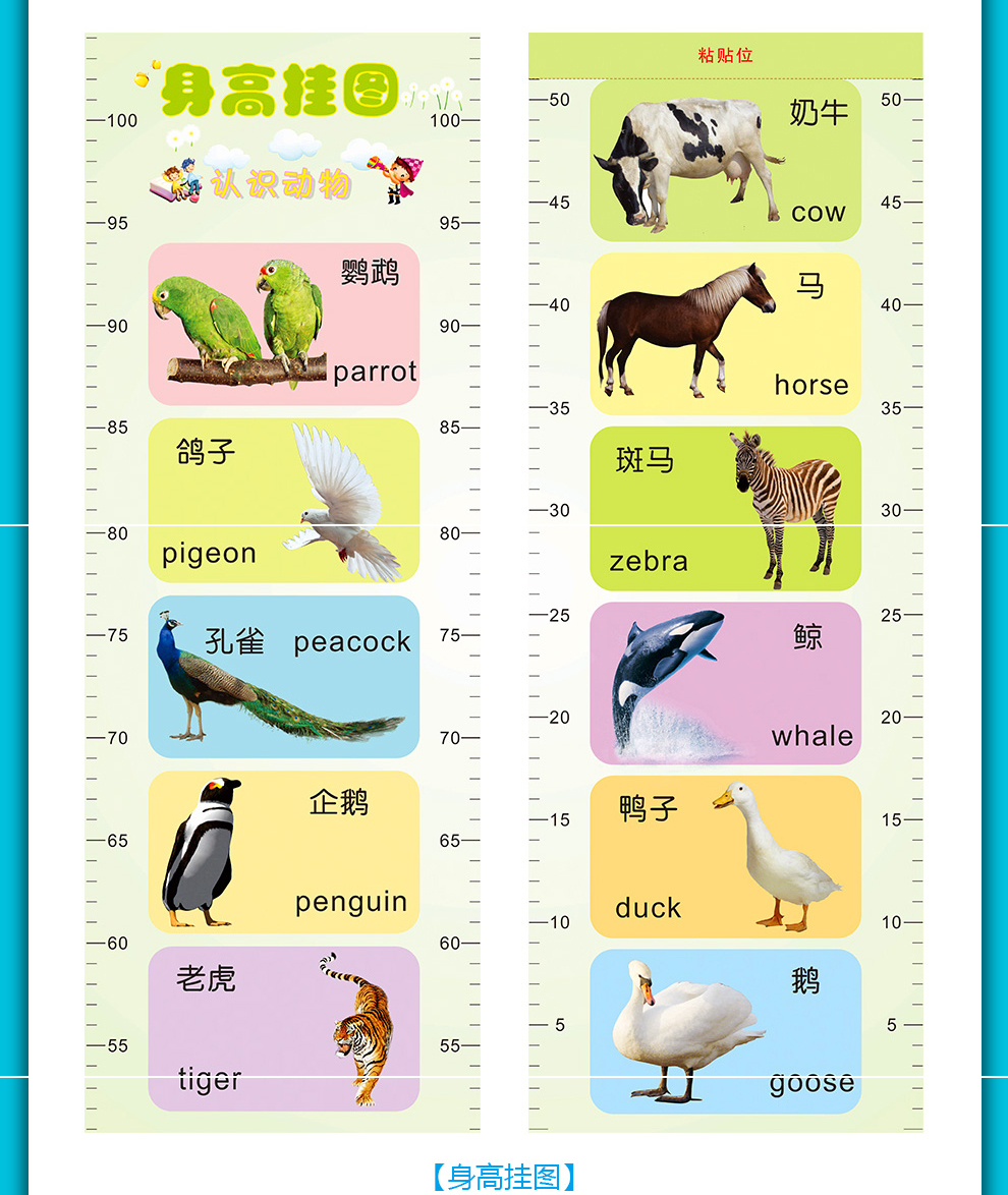 儿童智能点读笔套装定制详情-15